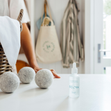 Ecoya Dryer Ball Set - Wild Sage & Citrus