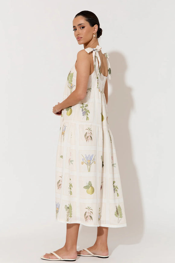 Adorne Noah Botanical Belle Dress