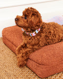 Kip & Co Fez Stripe Dog Collar  - Size L