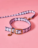 Kip & Co Flower Face Dog Collar  - Various Sizes