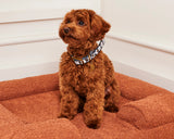 Kip & Co Flower Face Dog Collar  - Various Sizes