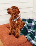 Kip & Co Flower Face Dog Collar  - Various Sizes