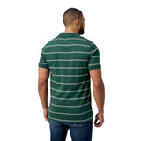 Canterbury Mens Yarn Dye Stripe SS Polo - Forest