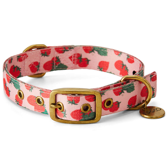 Kip & Co Strawberry Dog Collar