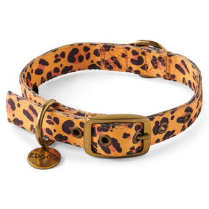 Kip & Co Tarzan Dog Collar